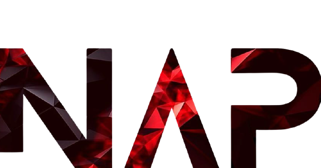 NAP — Nasra Auto Performance
