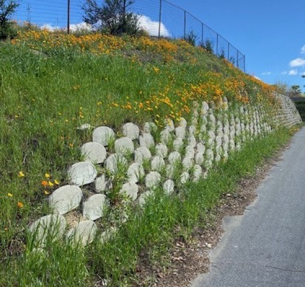 Plantable vegetated soil-retention wall with wildflowers growing through the face
